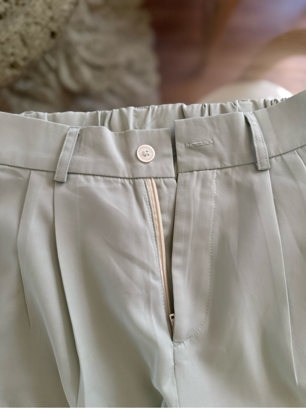Womens Pleated Dress Pants in Light Sage